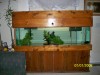 100g fish tank/aquarium